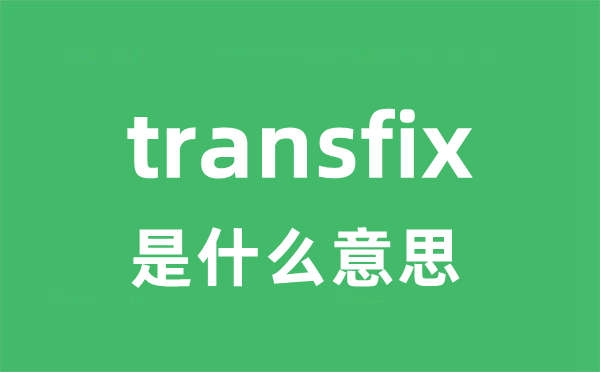 transfix是什么意思