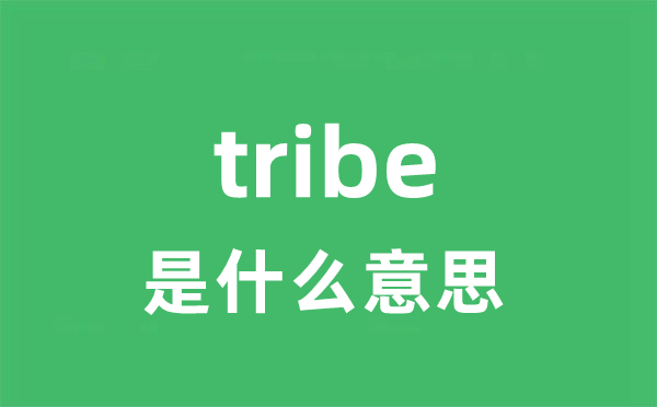 tribe是什么意思