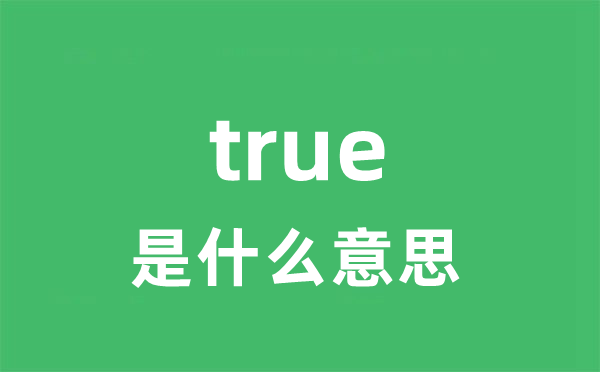 true是什么意思