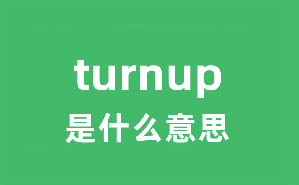 turnup是什么意思