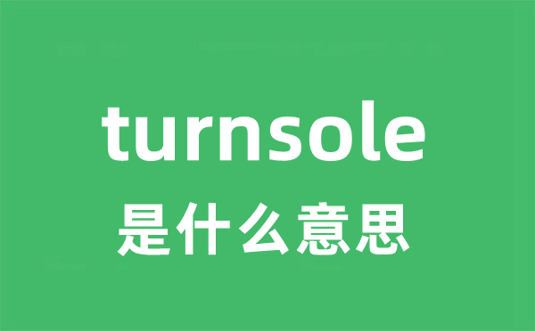 turnsole是什么意思