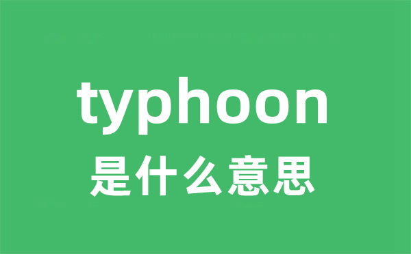 typhoon是什么意思