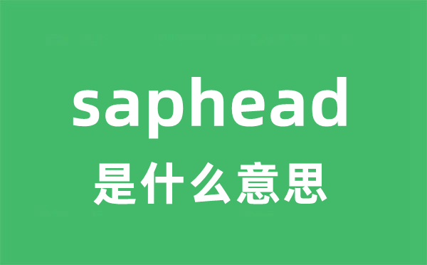 saphead是什么意思