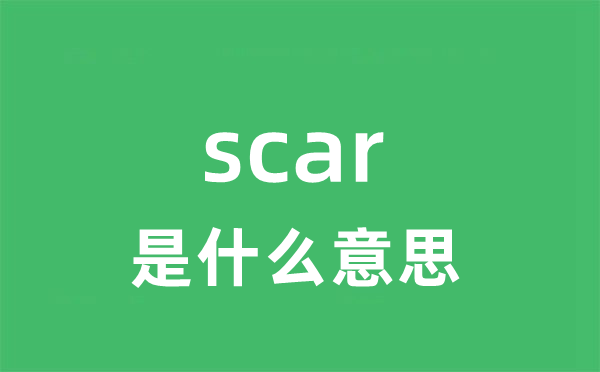 scar是什么意思