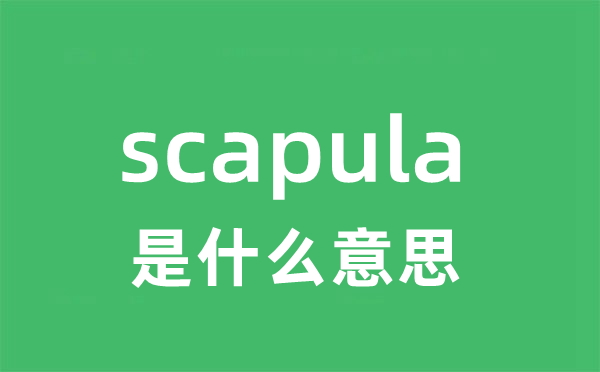 scapula是什么意思