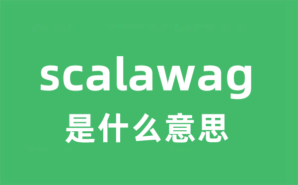 scalawag是什么意思