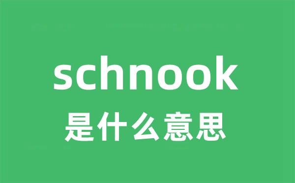 schnook是什么意思