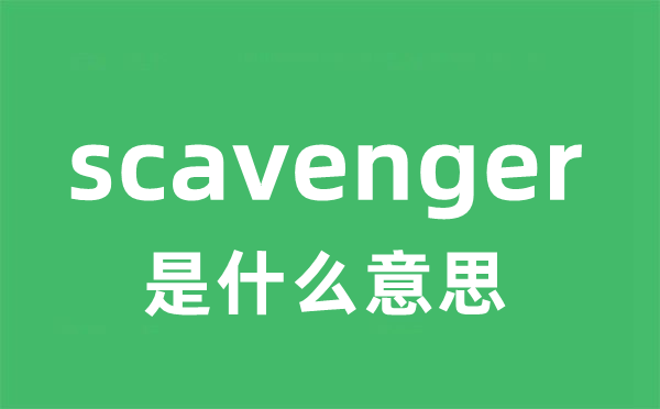 scavenger是什么意思