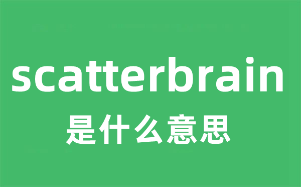 scatterbrain是什么意思