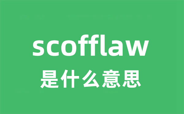 scofflaw是什么意思