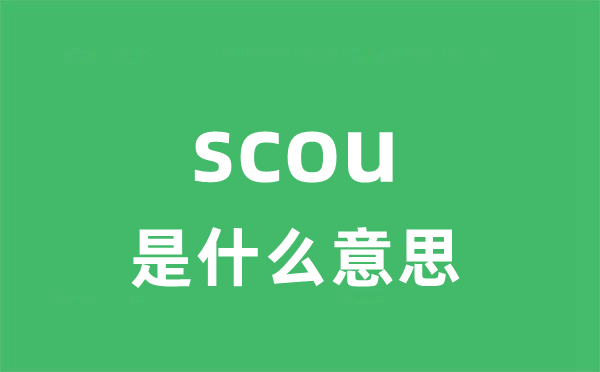 scour是什么意思