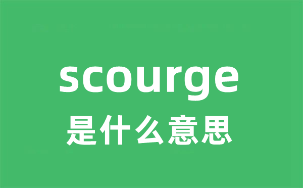 scourge是什么意思