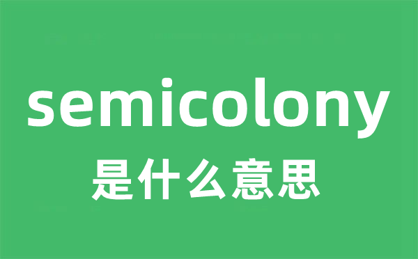 semicolony是什么意思