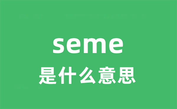 seme是什么意思