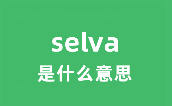 selva是什么意思