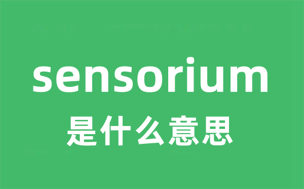 sensorium是什么意思