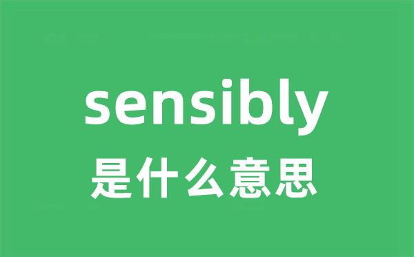 sensibly是什么意思