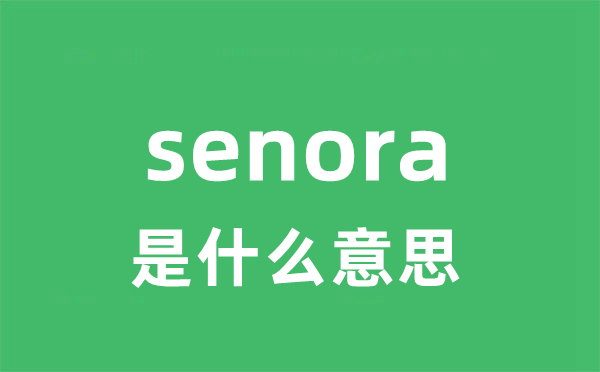 senora是什么意思