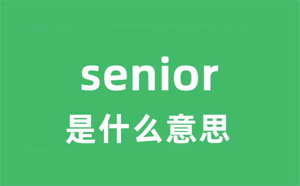 senior是什么意思