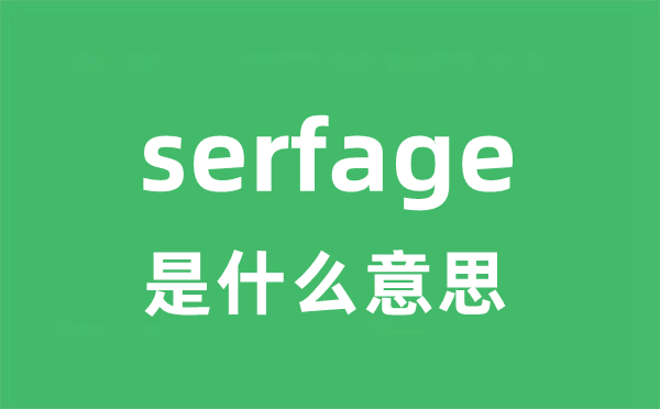 serfage是什么意思