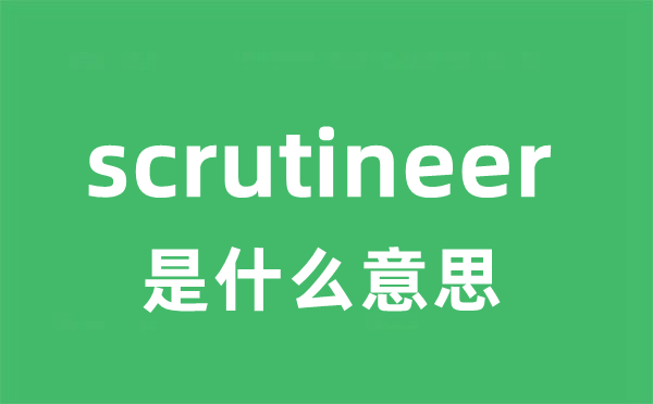 scrutineer是什么意思