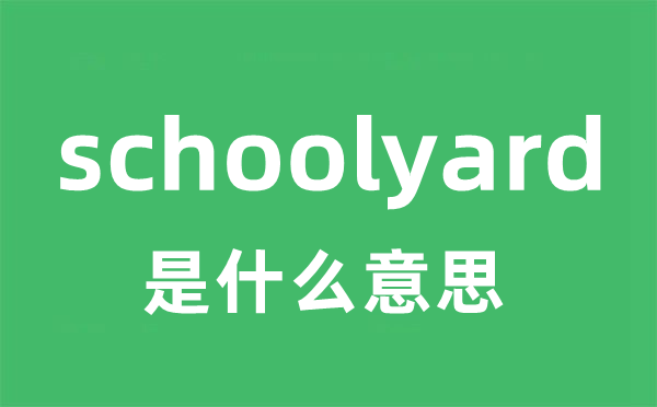 schoolyard是什么意思