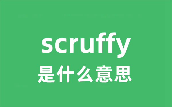 scruffy是什么意思