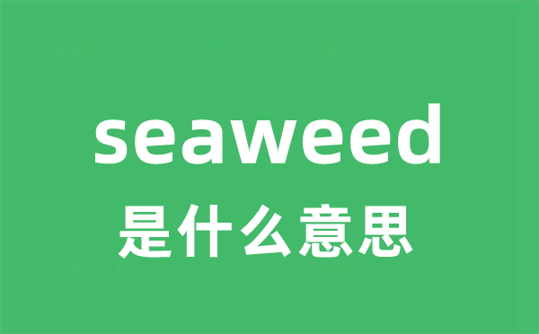 seaweed是什么意思