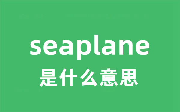 seaplane是什么意思