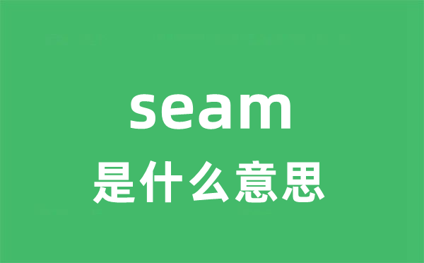 seam是什么意思