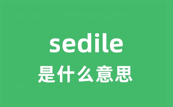 sedile是什么意思