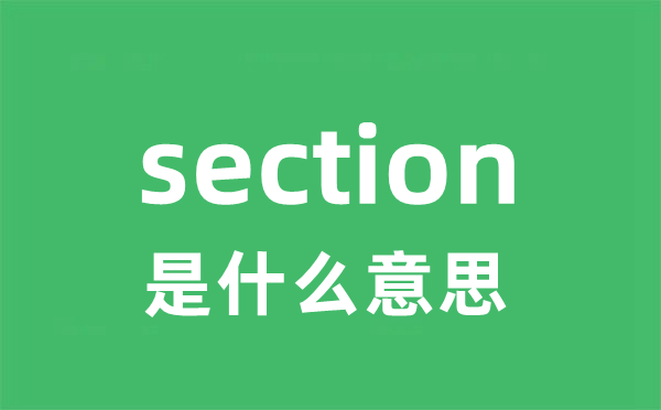 section是什么意思