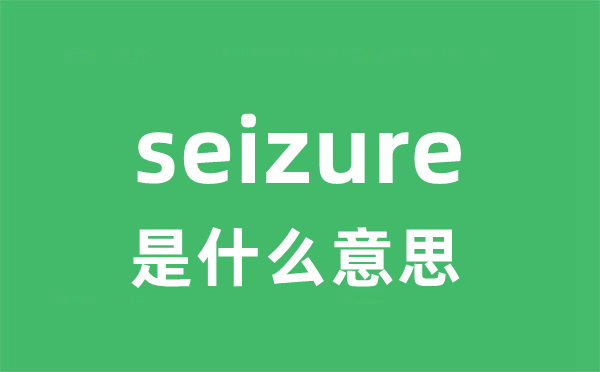 seizure是什么意思