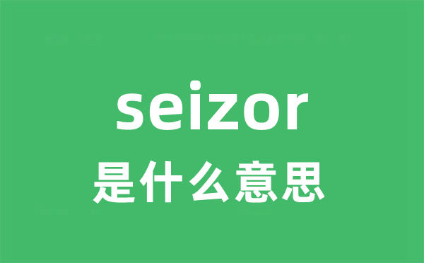 seizor是什么意思