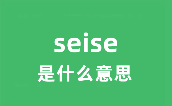 seise是什么意思