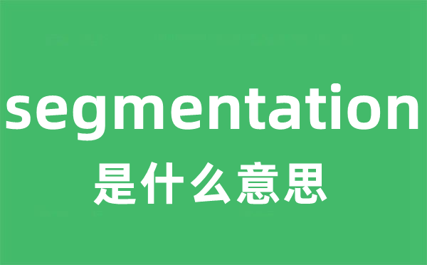 segmentation是什么意思