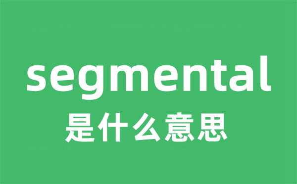 segmental是什么意思