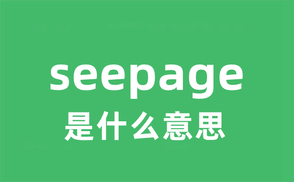 seepage是什么意思