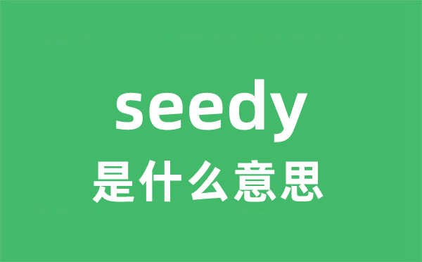 seedy是什么意思