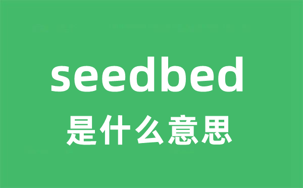 seedbed是什么意思