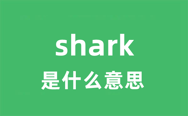 shark是什么意思