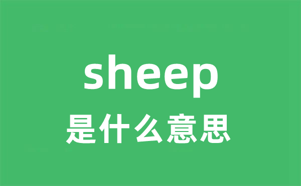 sheep是什么意思