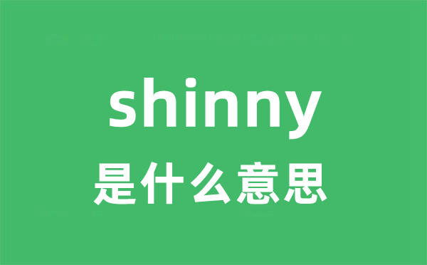 shinny是什么意思