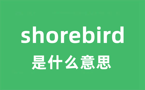 shorebird是什么意思