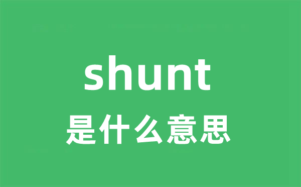 shunt是什么意思