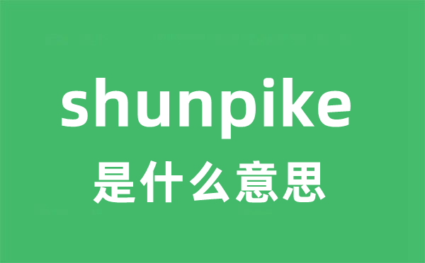 shunpike是什么意思