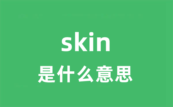 skin是什么意思