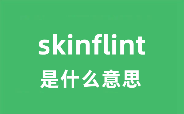 skinflint是什么意思