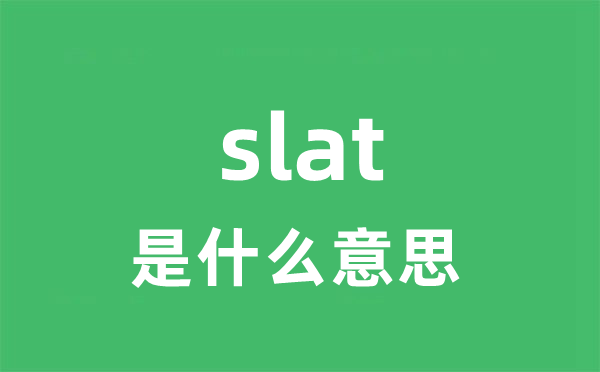 slat是什么意思