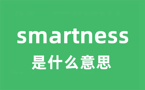 smartness是什么意思